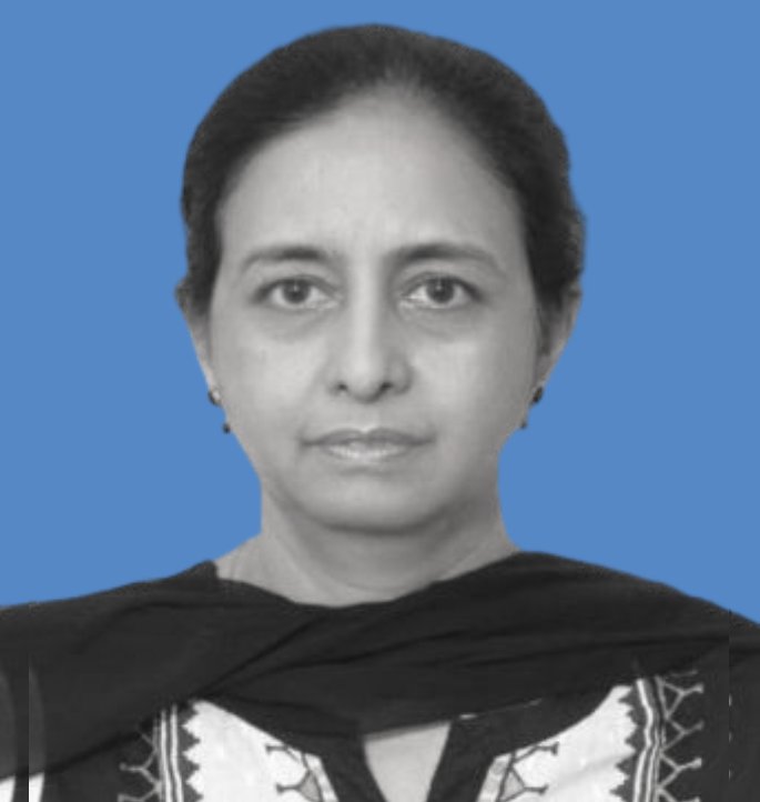 Prof. Komal Saini